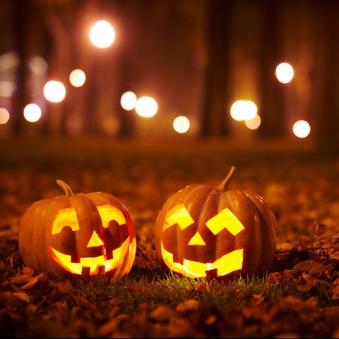 Autumn / Halloween